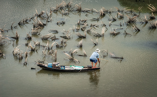 Fisherman is fishing on Quan Tuong river with many dried nipa palm - Nha Trang city, Khanh Hoa province, central Vietnam