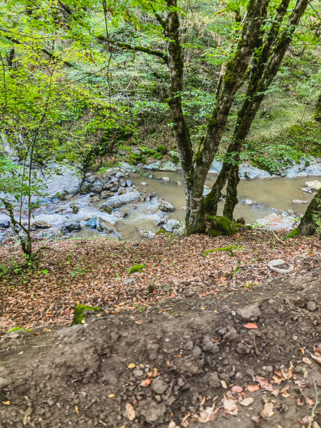 istock Tropical rural landscape with beautiful rice fields, forest and  roads 1341483908