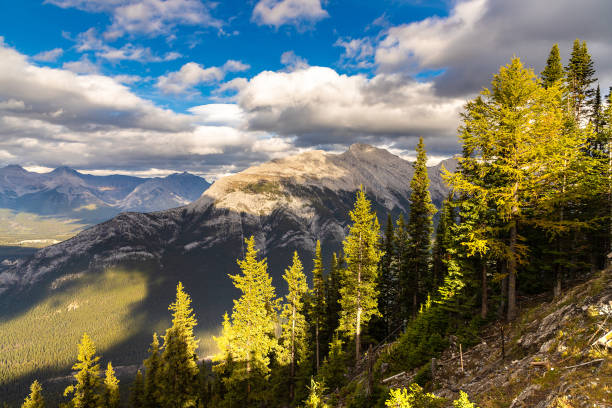 istock Bow Valley in Banff national park 1341484479