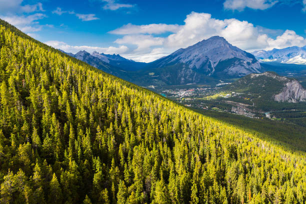 istock Bow Valley in Banff national park 1341484511