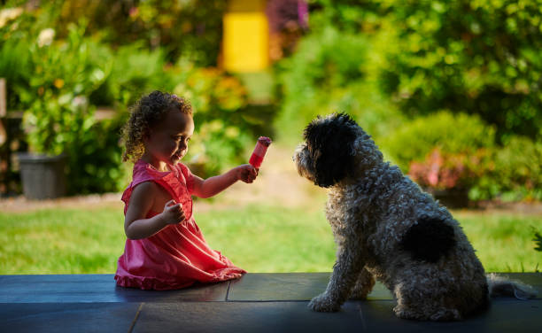 istock little girl sharing ice cream 1341488239