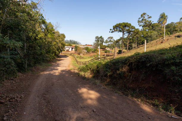 istock Dirty road with farm field and and forest 1341489369