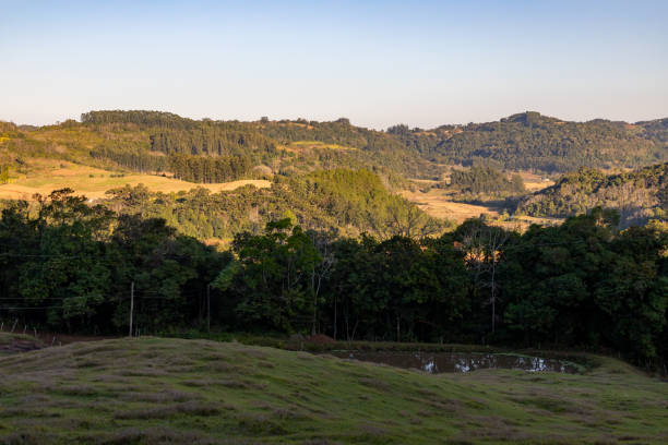 istock Farm field with lake, forest and valley 1341490034