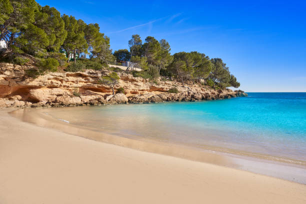 istock Cala Calafato Ametlla de mar beach 1341493484