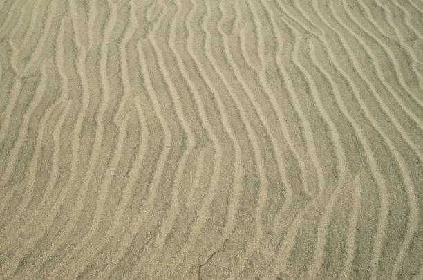 istock Beautiful wavy beach sand closeup 1341493652