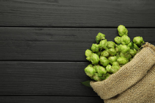istock Hop in a burlap bag on a black background. 1341496115