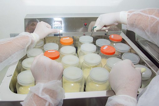 rigorous stage of pasteurization and care of breast milk donated to the milk bank