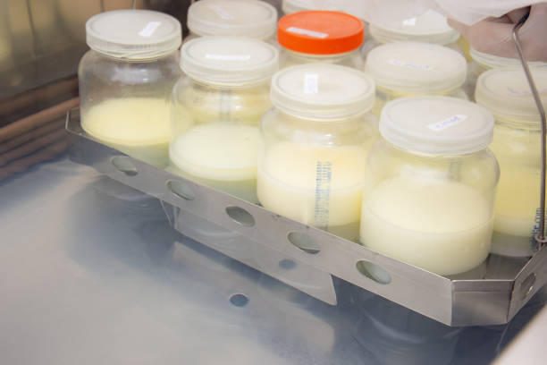 donated breast milk process rigorous stage of pasteurization and care of breast milk donated to the milk bank breast milk stock pictures, royalty-free photos & images