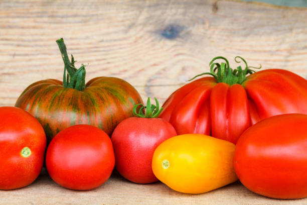 istock Bright multi-colored tomatoes of different sizes. Red, yellow, variegated, large beef and small tomatoes on a wooden background 1341501453
