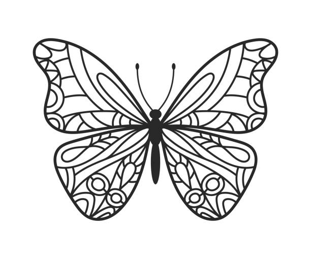 나비 손 그린 낙서 - fly line art insect drawing stock illustrations