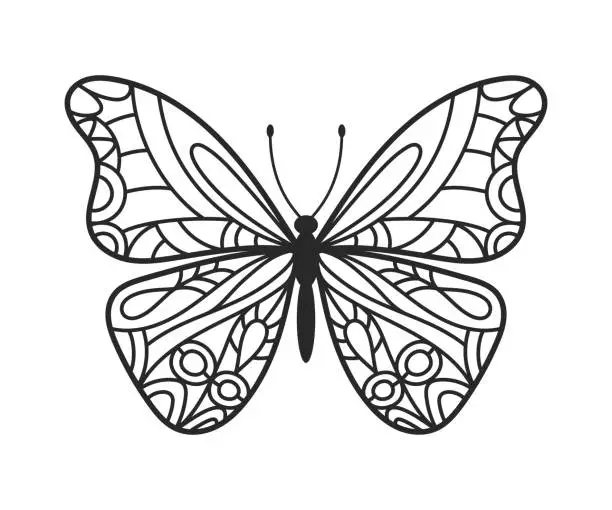 Vector illustration of Butterfly hand drawn doodle