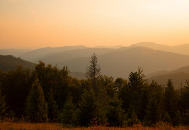 dramatic mountain hills sunset scenic view with pine trees forest and abstract soft focus highland ridge background horizon and orange evening sky with empty copy space