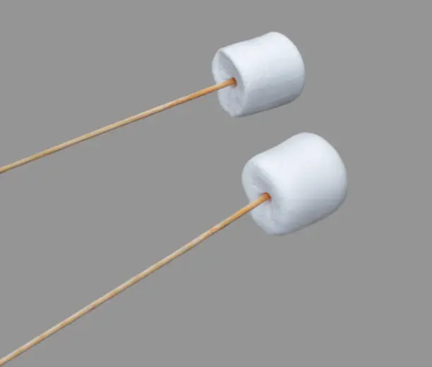 Photo of marshmallows put on a stick for frying on a fire, isolated on gray background