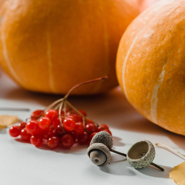 pumpkins, guelder rose berries, acorns, and yellow leaves autumn composition - squash pumpkin orange japanese fall foliage imagens e fotografias de stock