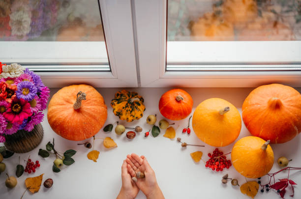 la posa piatta autunnale con le mani del bambino che tengono ghiande, zucche e fiori autunnali - squash pumpkin orange japanese fall foliage foto e immagini stock