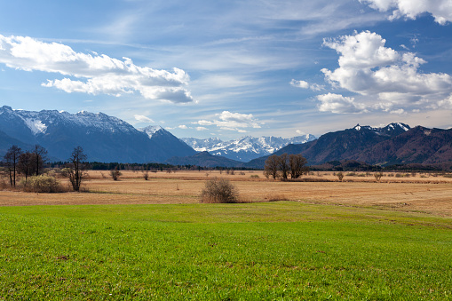 Spring panorama of green alpine meadows with snow-capped mountains on the horizon under blue skies with cumulum clouds.