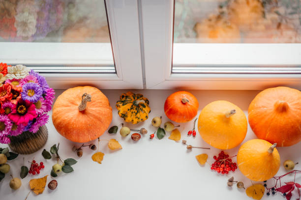 accogliente composizione autunnale con zucche e fiori autunnali - squash pumpkin orange japanese fall foliage foto e immagini stock
