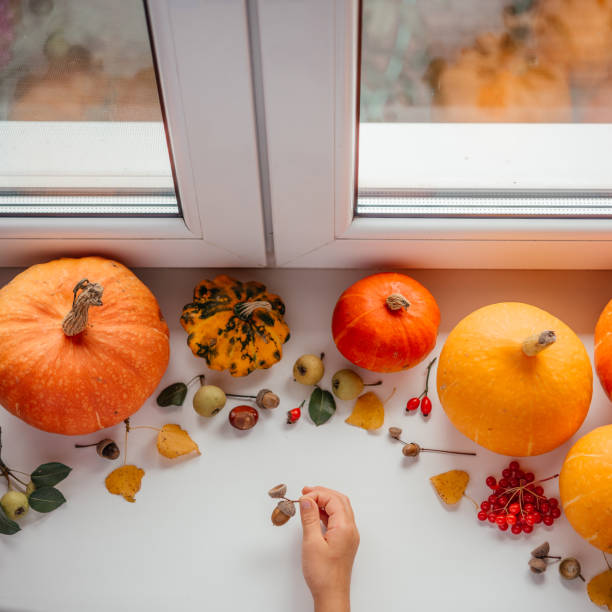 a hand holding acorn over pumpkins and dried leaves autumn layout - squash pumpkin orange japanese fall foliage imagens e fotografias de stock