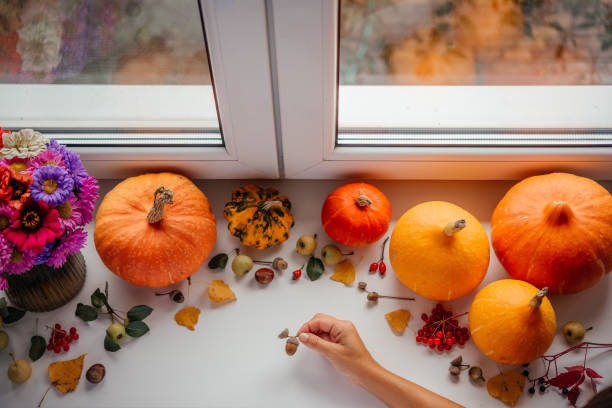 a hand holding acorn over pumpkins and dried leaves autumn layout - squash pumpkin orange japanese fall foliage imagens e fotografias de stock