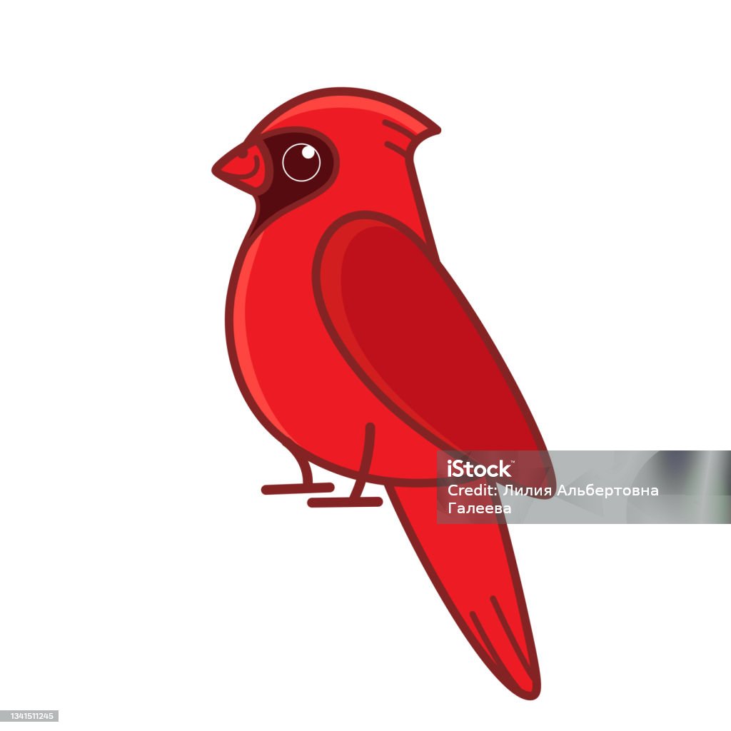 Vector - cardinal football - stock illustration, royalty free