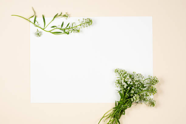 istock Flower summer composition on a beige background.. Floral frame. 1341512069