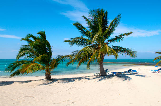 beach stock photo