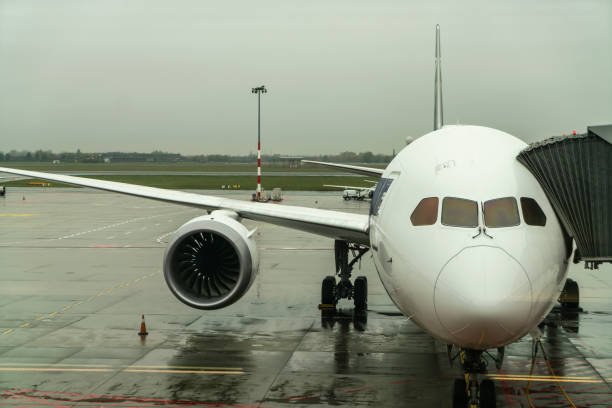 istock Airplane terminal with gate for takeoff at dawn 1341516084