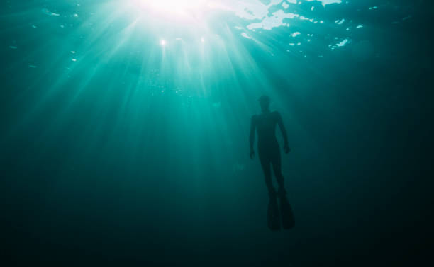 istock Underwater view of sunbeam coming through water surface 1341520155