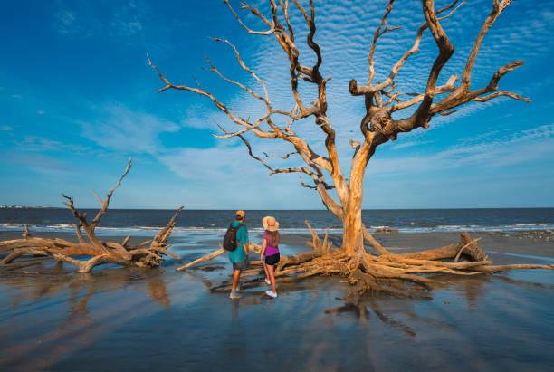 istock Friends standing on the beach with weathered trees at sunset. 1341522085