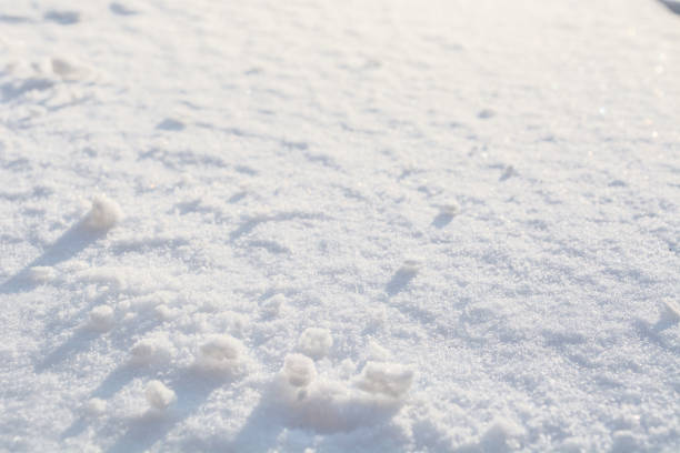 istock Real snowy surface background. Winter clean snow backdrop 1341523458