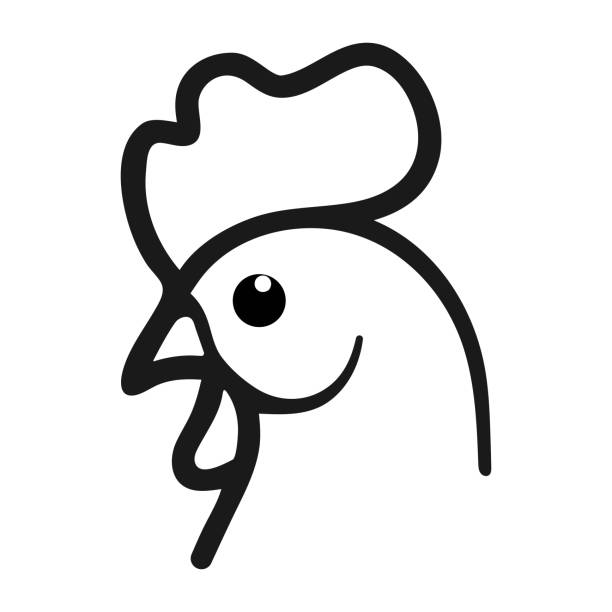 illustrations, cliparts, dessins animés et icônes de symbole du poulet. icône de ligne de tête de coq. - poule naine
