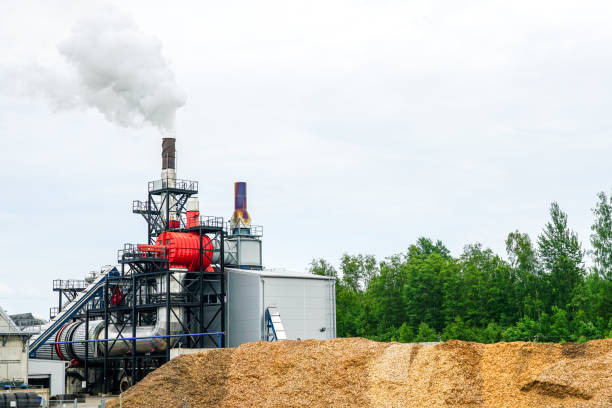 istock modern wood pellet production plant in operation 1341530168
