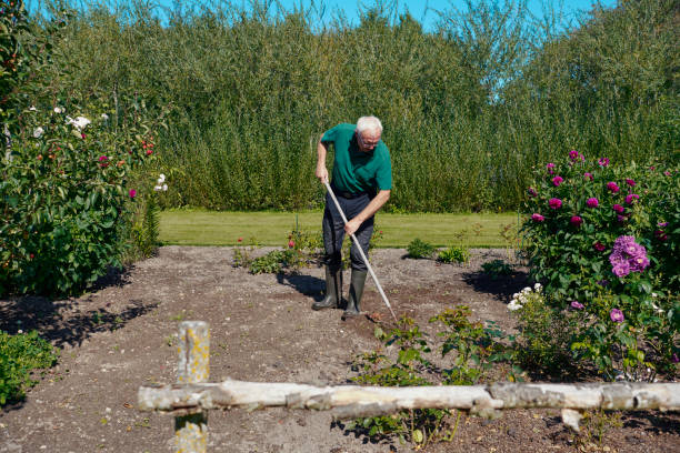 istock Working in the garden with a hoe 1341530577