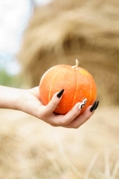 istock Orange pumpkin on a female palm 1341531662
