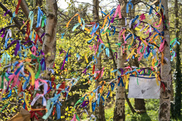 istock Be Love, We Are Love: colorful ribbons on branches of spring birch tree 1341532792