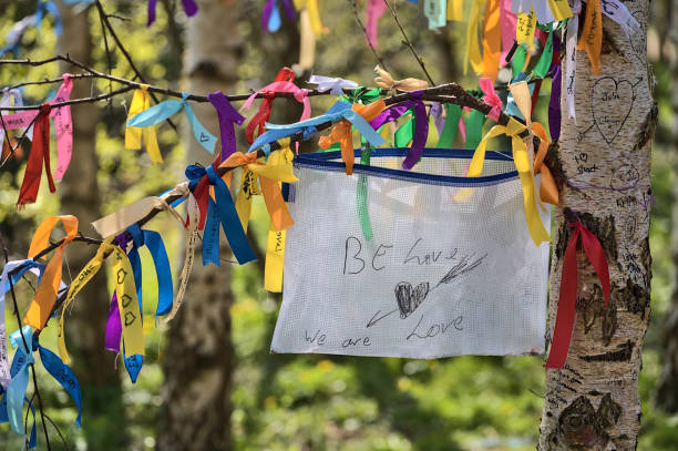 istock Be Love, We Are Love: colorful ribbons on branches of spring birch tree 1341532799
