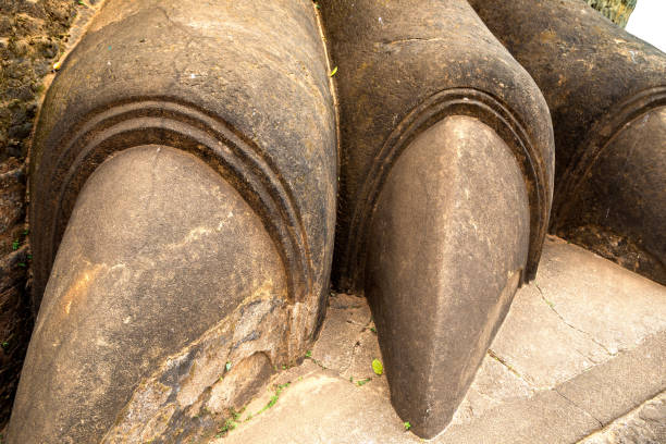 istock Lions Paw Rock at Lion Rock 1341534101