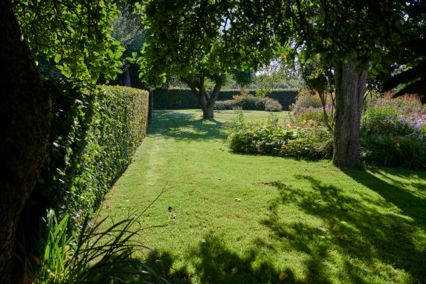 istock Park like private garden 1341534430