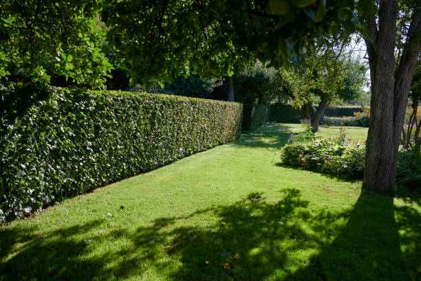 Big private garden in the countryside. Well kept garden with big lawn and flowerbeds.