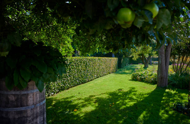 istock Park like private garden 1341534457
