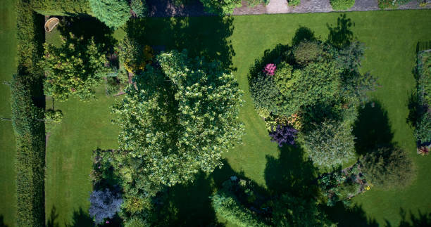istock Aerial view of garden 1341535055