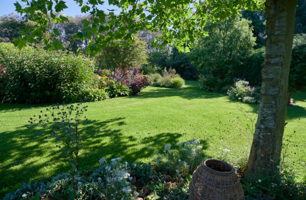 istock Park like private garden 1341535065