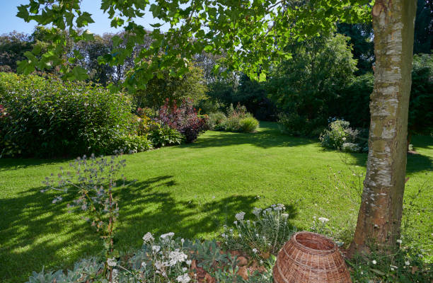 istock Park like private garden 1341535154