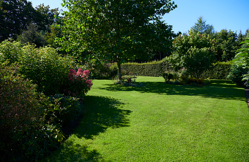 Beautiful garden view with flower beds filled with gladiolus, petunias and other flowers on sunny summer day. Sweden.