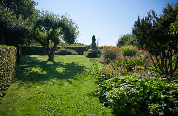 istock Park like private garden 1341535222