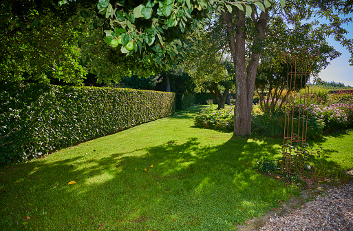 Big private garden in the countryside. Well kept garden with big lawn and flowerbeds.