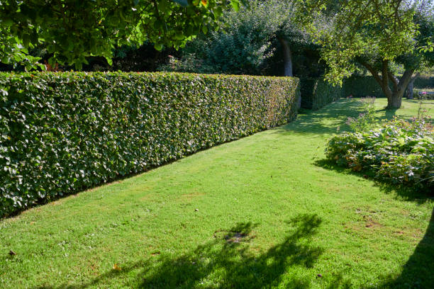Park like private garden Big private garden in the countryside. Well kept garden with big lawn and flowerbeds. hedge stock pictures, royalty-free photos & images