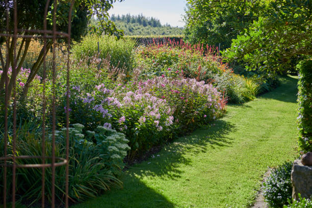 istock Park like private garden 1341535251
