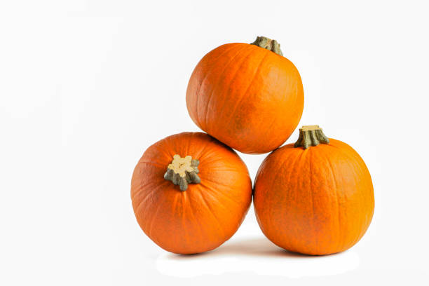 istock Pumpkin on a white background. Isolated halloween pumpkin isolate on white to insert into your project or design. Three orange pumpkins stacked in a pile cast a shadow 1341535602
