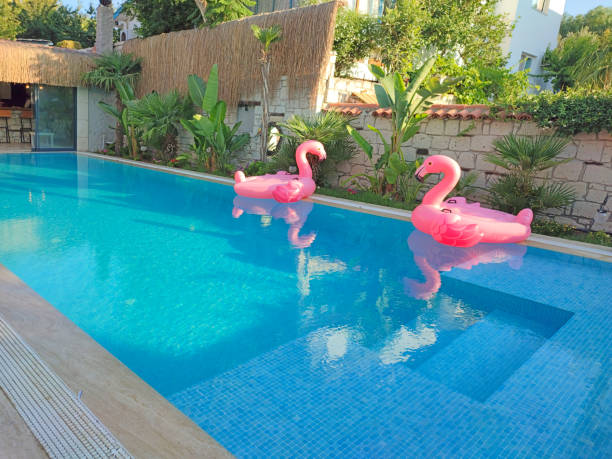 istock Swimming Pool with Ladder 1341539425